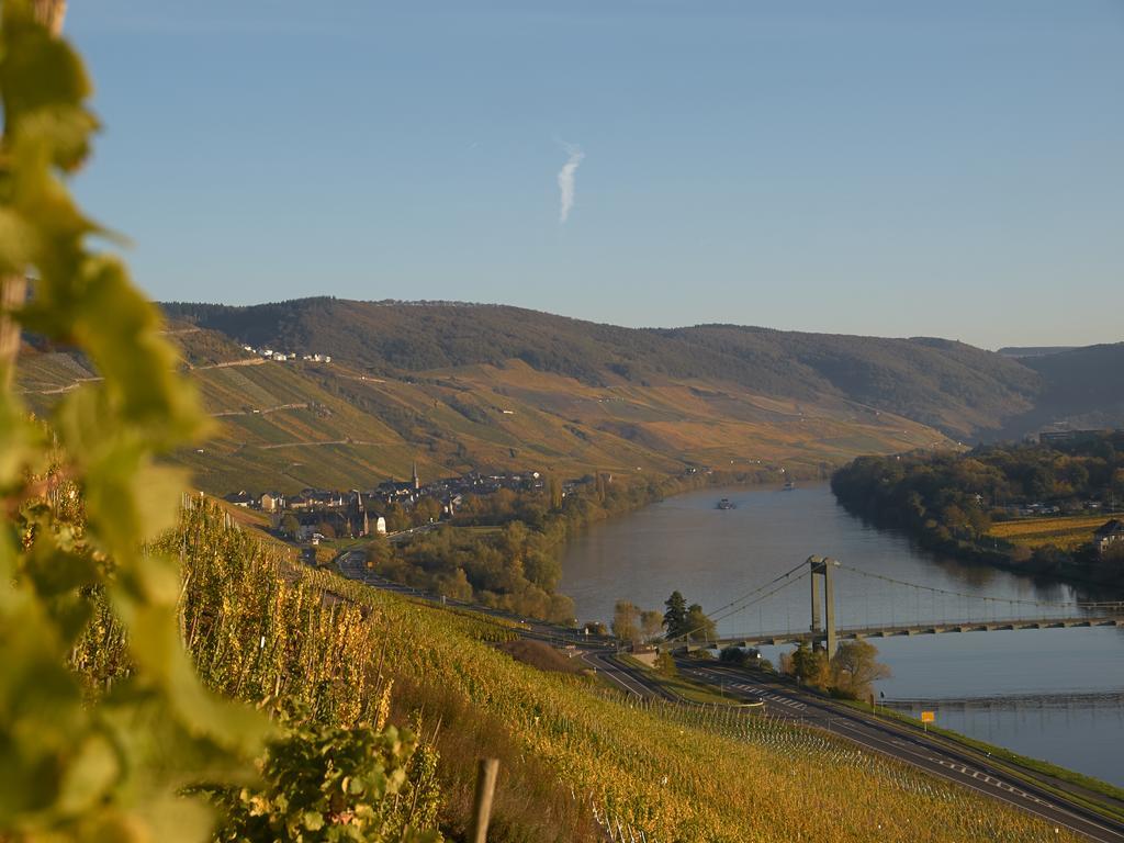 Wein- Und Landhaus S A Pruem Бернкастель-Кюс Экстерьер фото