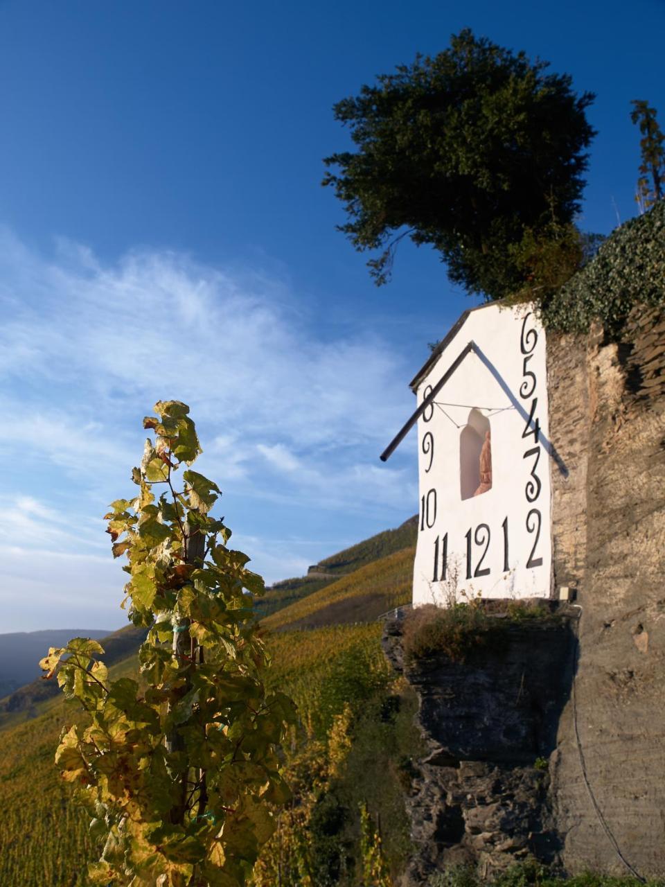 Wein- Und Landhaus S A Pruem Бернкастель-Кюс Экстерьер фото