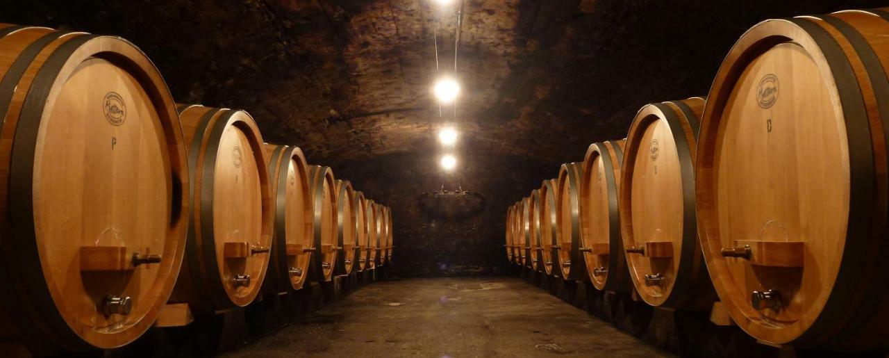 Wein- Und Landhaus S A Pruem Бернкастель-Кюс Экстерьер фото